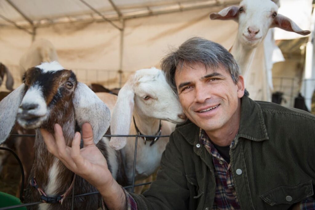 Entrepreneurship Opportunities in Goat Farming