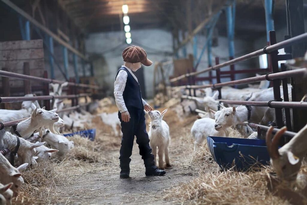 Boy in Goat Farm
