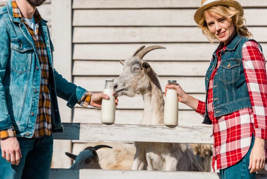 Goat Milk Farm