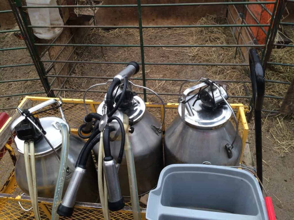 Goat Milk Storage Containers 